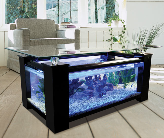Black elegant fish tank coffee table.