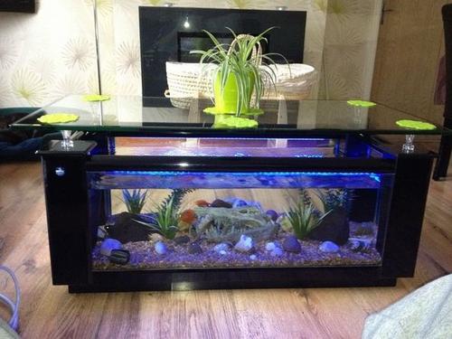 modern plexiglass coffee tabe fish tank