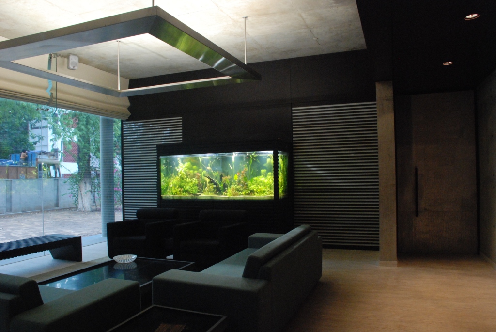 Arvind office fish tank | Glass Fish Tanks