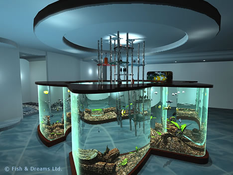 10 Cool & Unusual Aquariums | Glass Fish Tanks