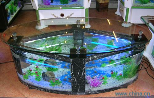 Oval coffee table fish tank