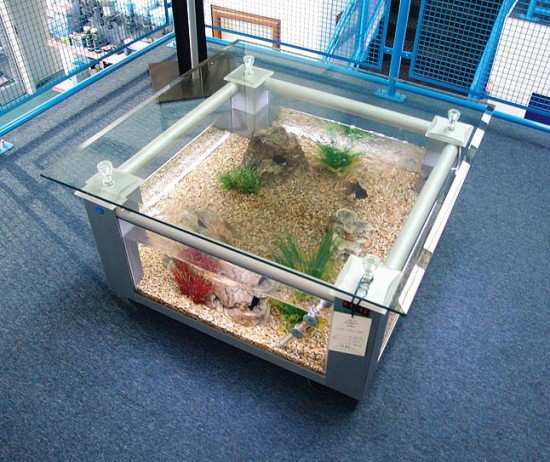 Silver coffee table aquarium
