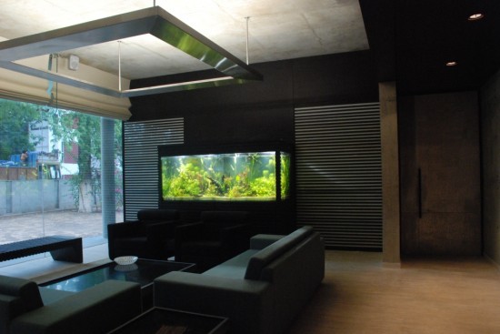 Arvind office fish tank