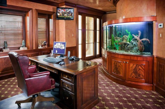 Fish tank for home office
