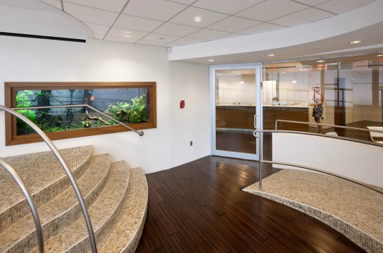Large wall office aquarium