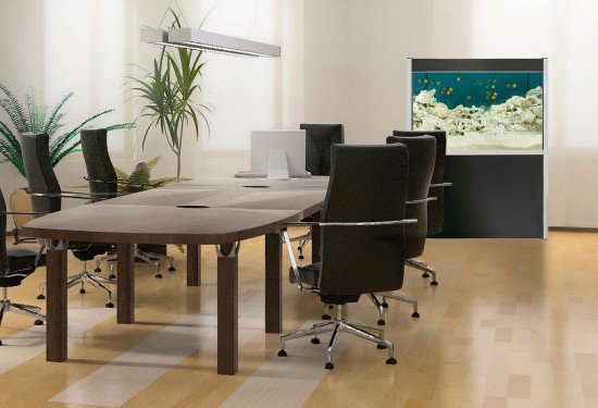 Office aquarium