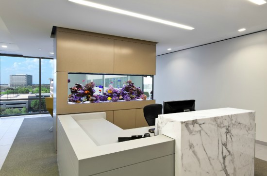 Office separating fish tank