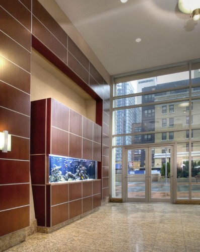Reef office aquarium