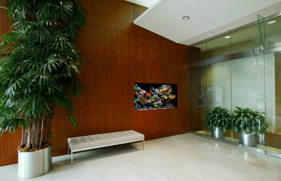 Wall aquarium in office waiting area