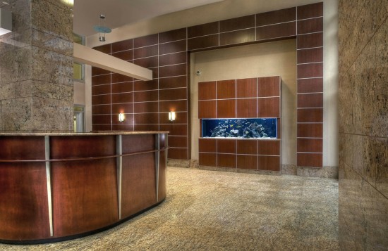 Wall reef aquarium