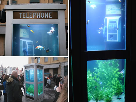Phonebooth Fish Tank
