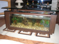 Rosewood coffee table fish tank