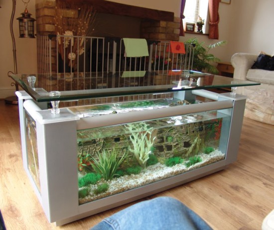 Silver coffee table fish tank