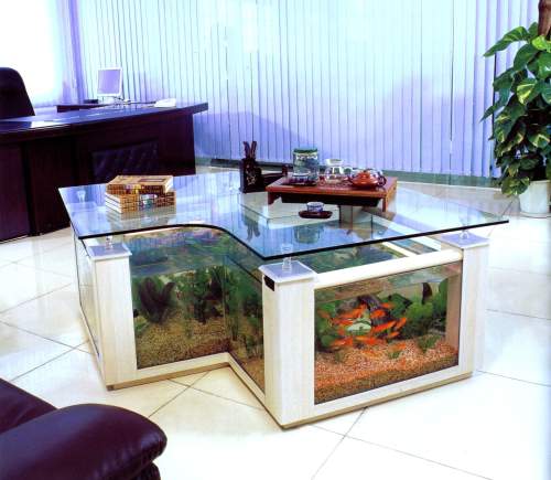 Custom innovative coffee table fish tank