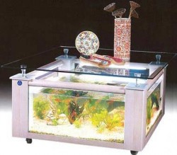 Designer coffee table fish tank