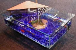 DIY coffee table fish tank