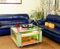 Rectangular white coffee table fish tank