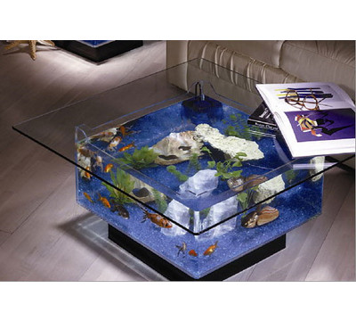 Small coffee table fish tank