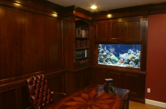 Home office aquarium