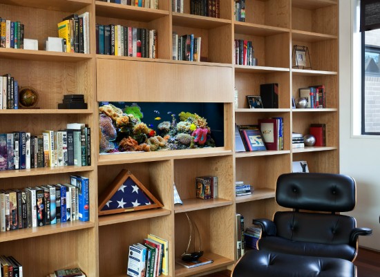 Home office book shelf aquarium