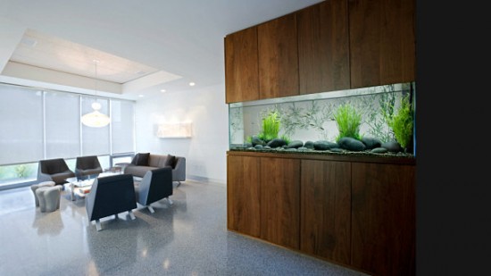 Modern wall fish tank