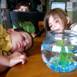 Children with a fish aquarium