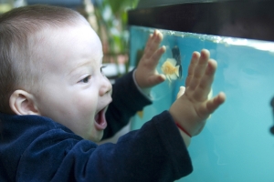 Kid and fish tank